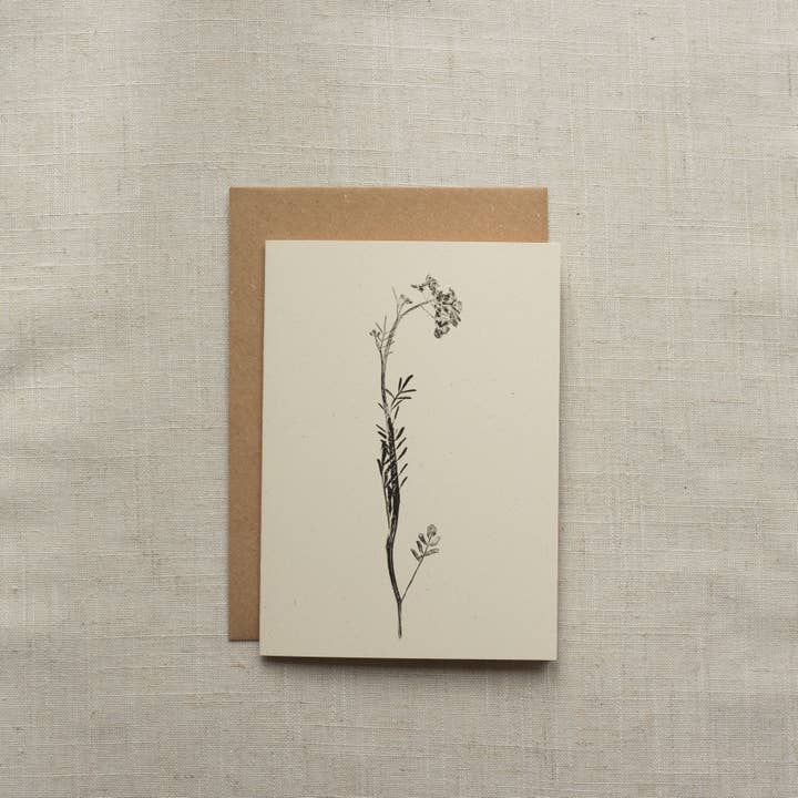 Alicia Breakspear - Wholesale Everyday Greeting Card - Lady's Smock Flower Greeting Card A6 Recycled Card