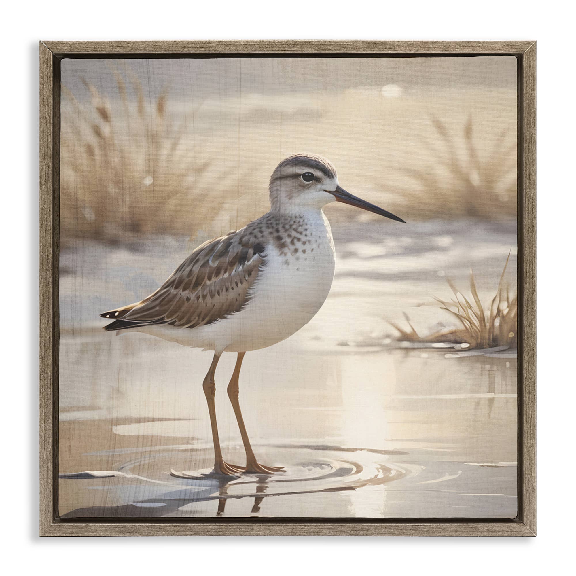 Stupell Industries – wholesale Wall sign – Sunlit Sandpiper in Shallow Water - Framed Wall Art23