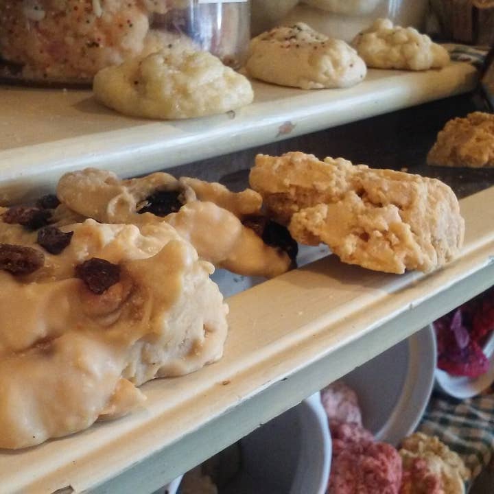 Frog on a Limb Primitives - Wholesale Wax Melt - Single Cookie wax melts2