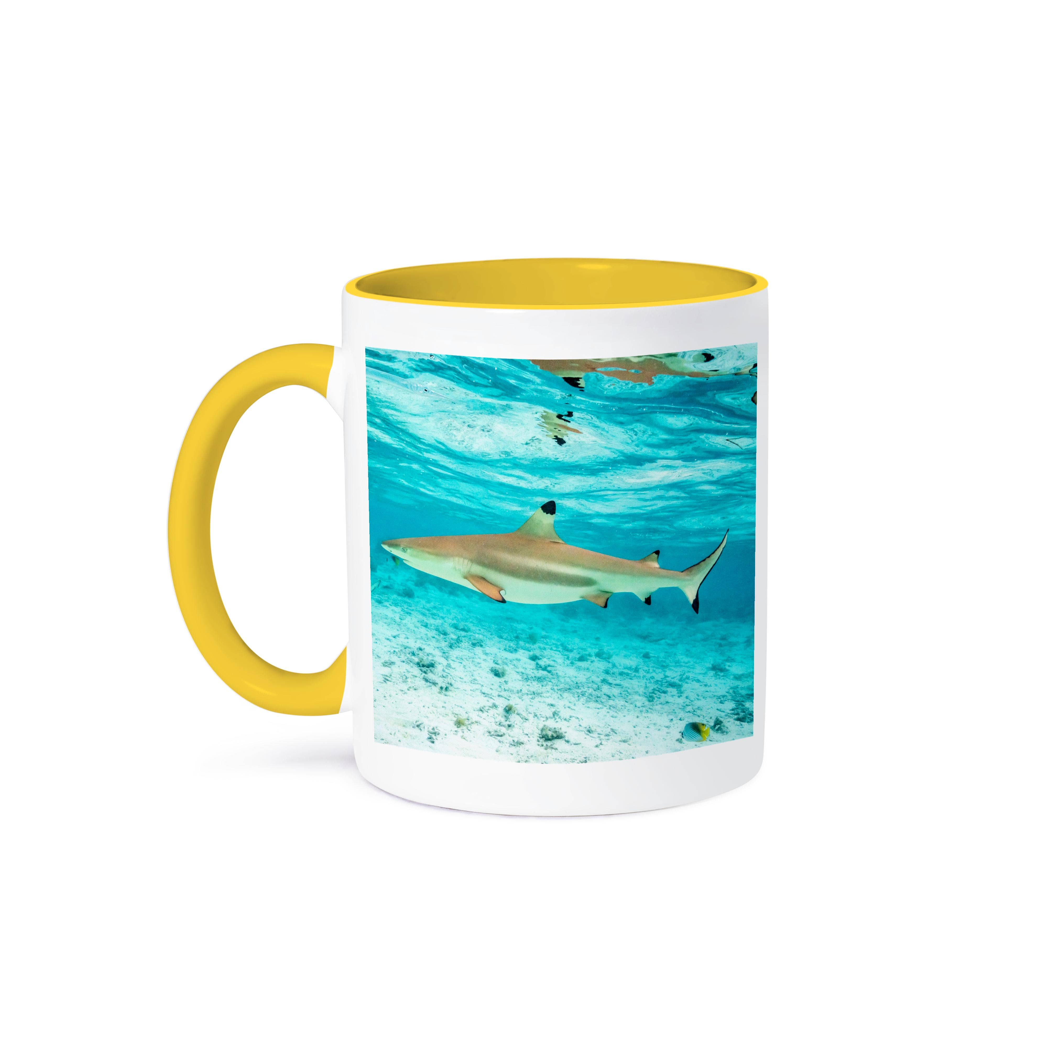 3dRose - Wholesale Coffee Mug - 3dRose, French Polynesia, Bora Bora. Black-tipped reef shark closeup., Mug0