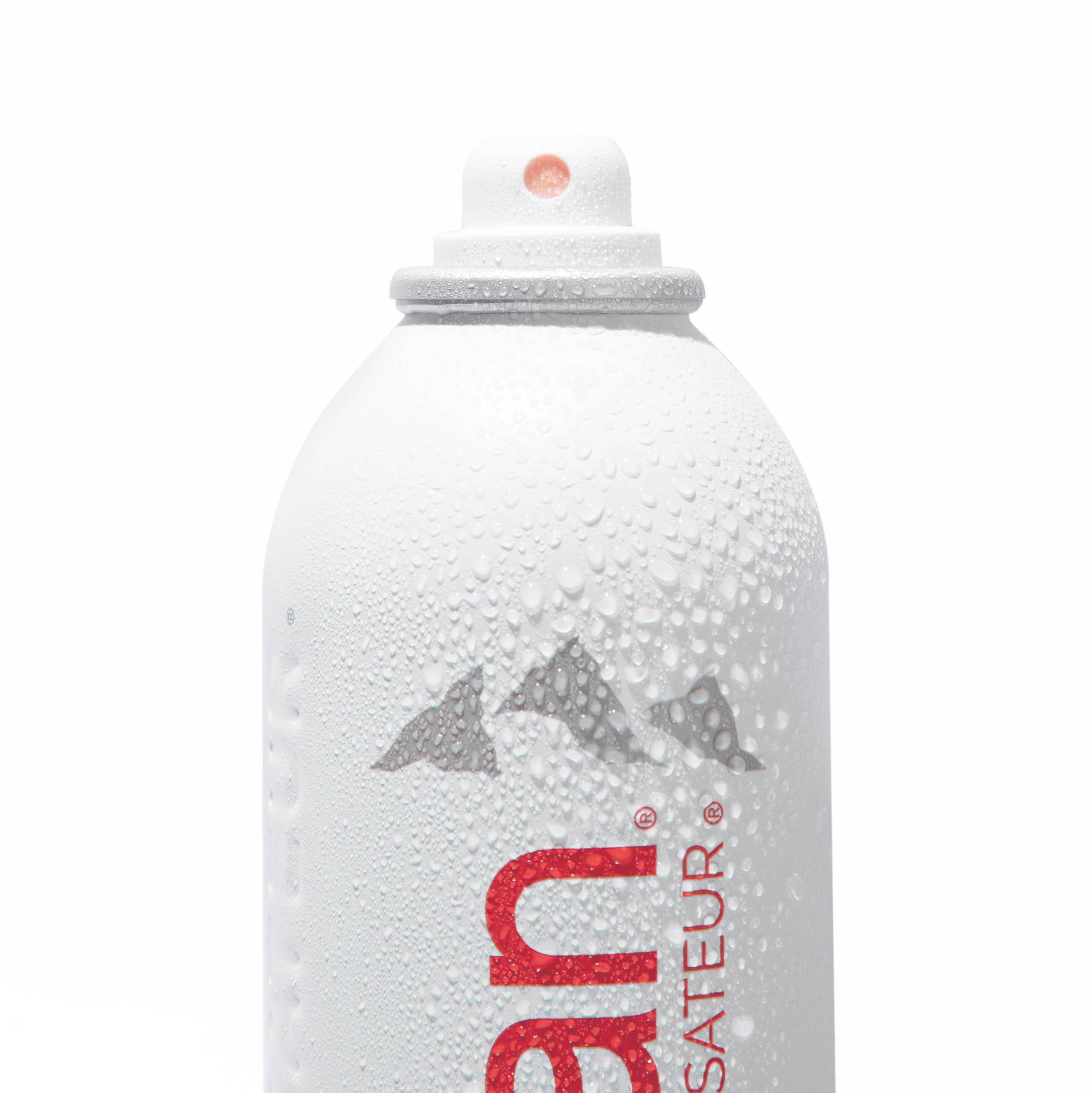 Evian Facial Spray - Wholesale Face & Body Mist/Water - Evian Facial Spray, 10.1 oz7