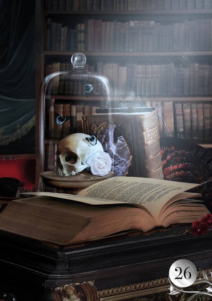 Cardshouse - Vendita all'ingrosso Tarocchi - Carte Oracolo De La Nuit Lenormand Lo Scarabeo7