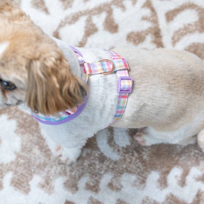 Dizzy Dog Collars - Wholesale Pet harness – Dog - DOG HARNESS | Sherbet Gingham | Neck Adjustable Dog Harness4