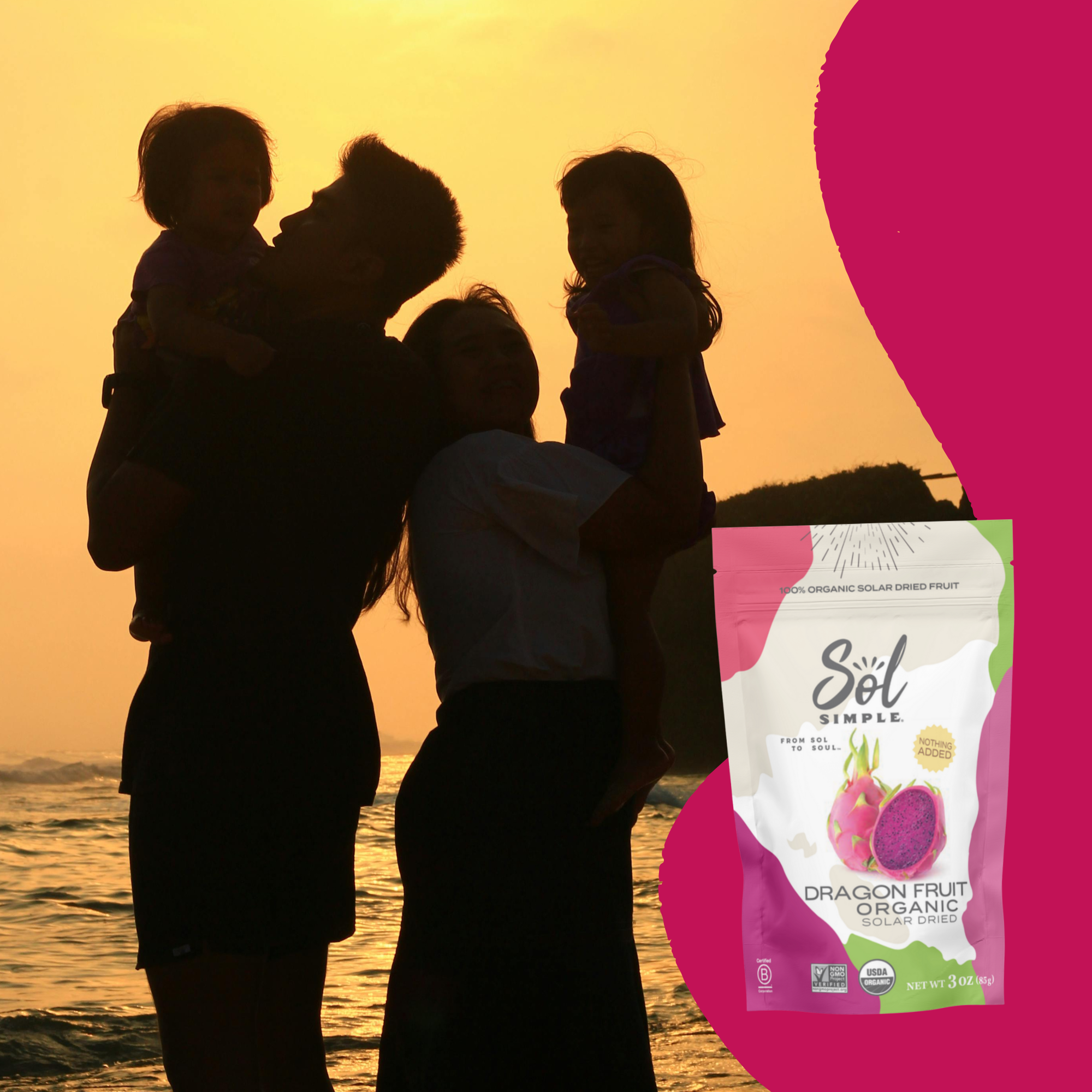 Sol Simple - Wholesale Dried/Dehydrated Fruit - Organic Solar Dried Dragon Fruit4