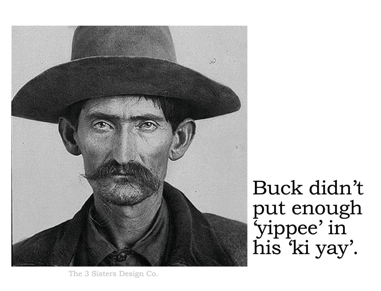 The 3 Sisters Design Co. – wholesale Sticker – BIG HOUSE Stickers! Buck didn't put enough 'yippee' in...0