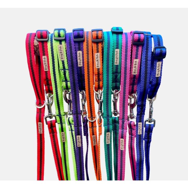 Reg&Bob - Wholesale Pet Leash - Dog - Reg&Bob Lead Blue stripe - Standard Size3