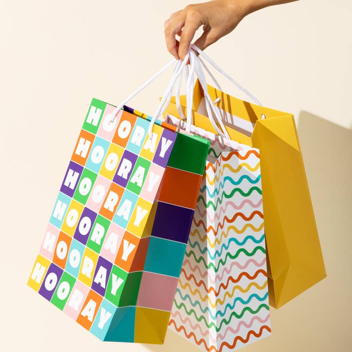 paper&stuff - Wholesale Gift bag - Colorful Squiggles Gift Bag1