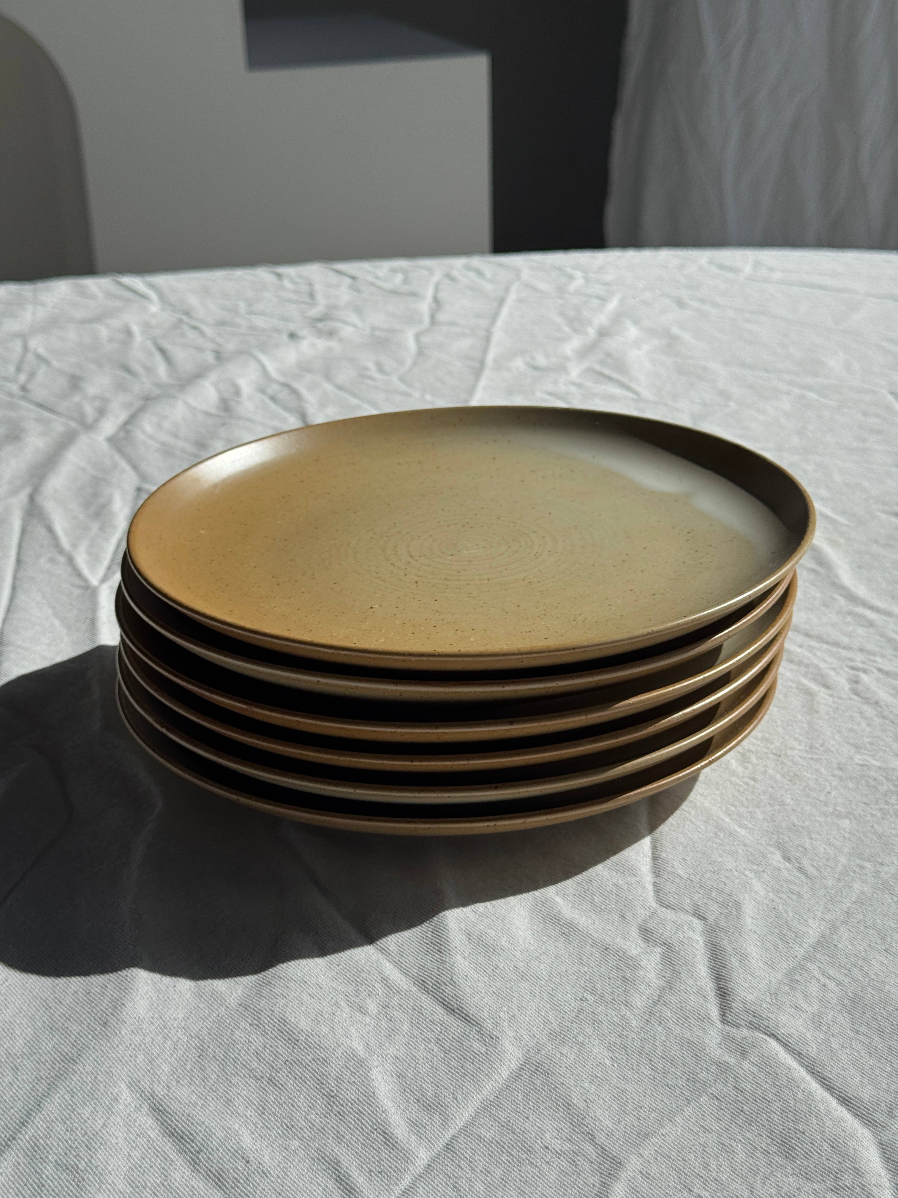 Office Objets - Wholesale Dinner Plate - Set of 6 stoneware plates Village France D2412