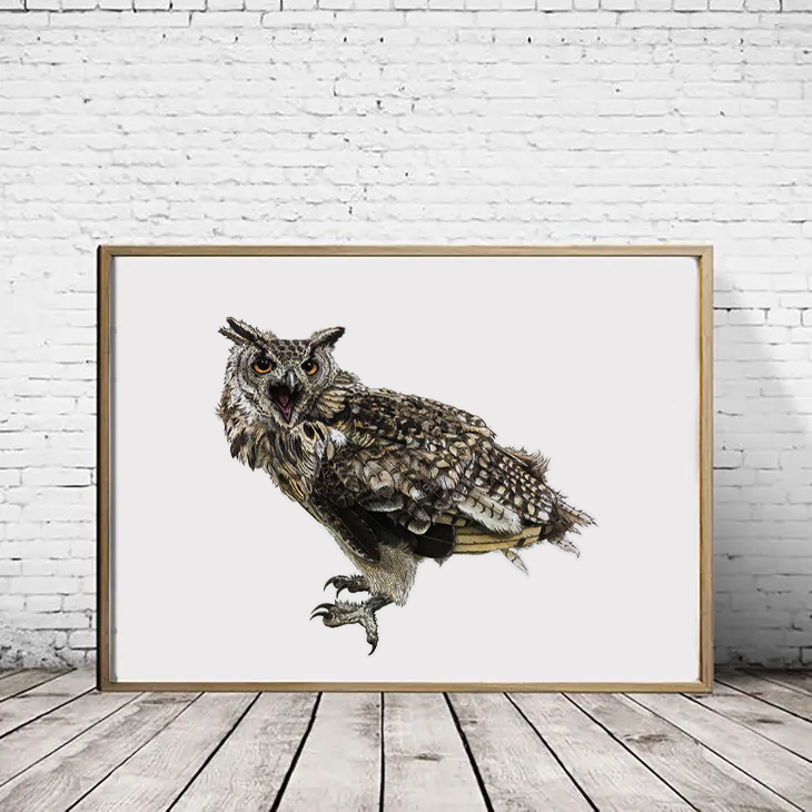 Hidden Planet - Wholesale Art Print - African Eagle Owl - A4 Print (landscape)0