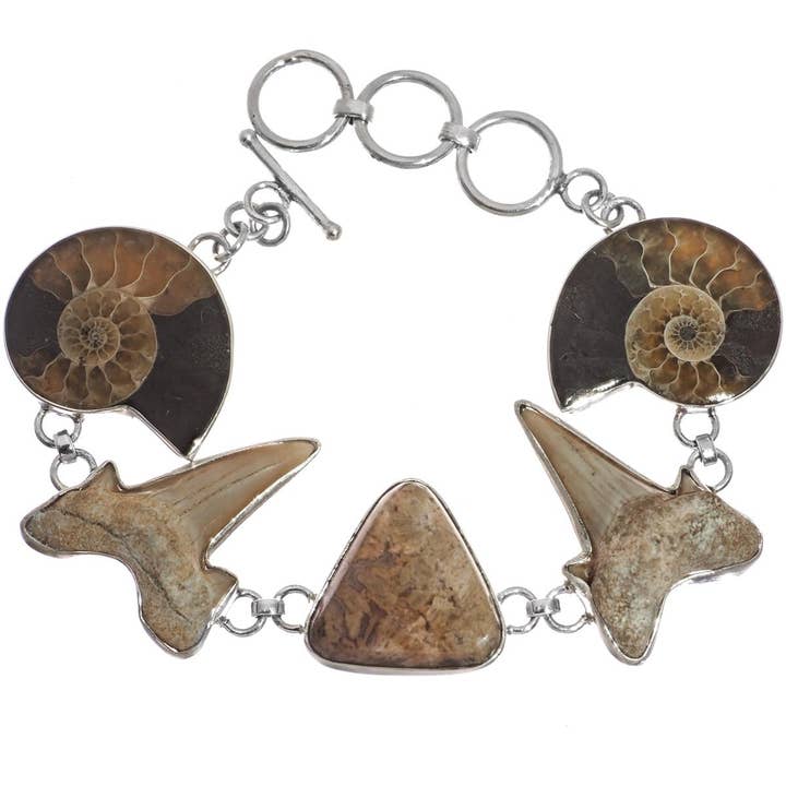 925 sterling zilveren ammoniet haaientand koraalfossiel zilveren armband voor wholesale door FifiRose