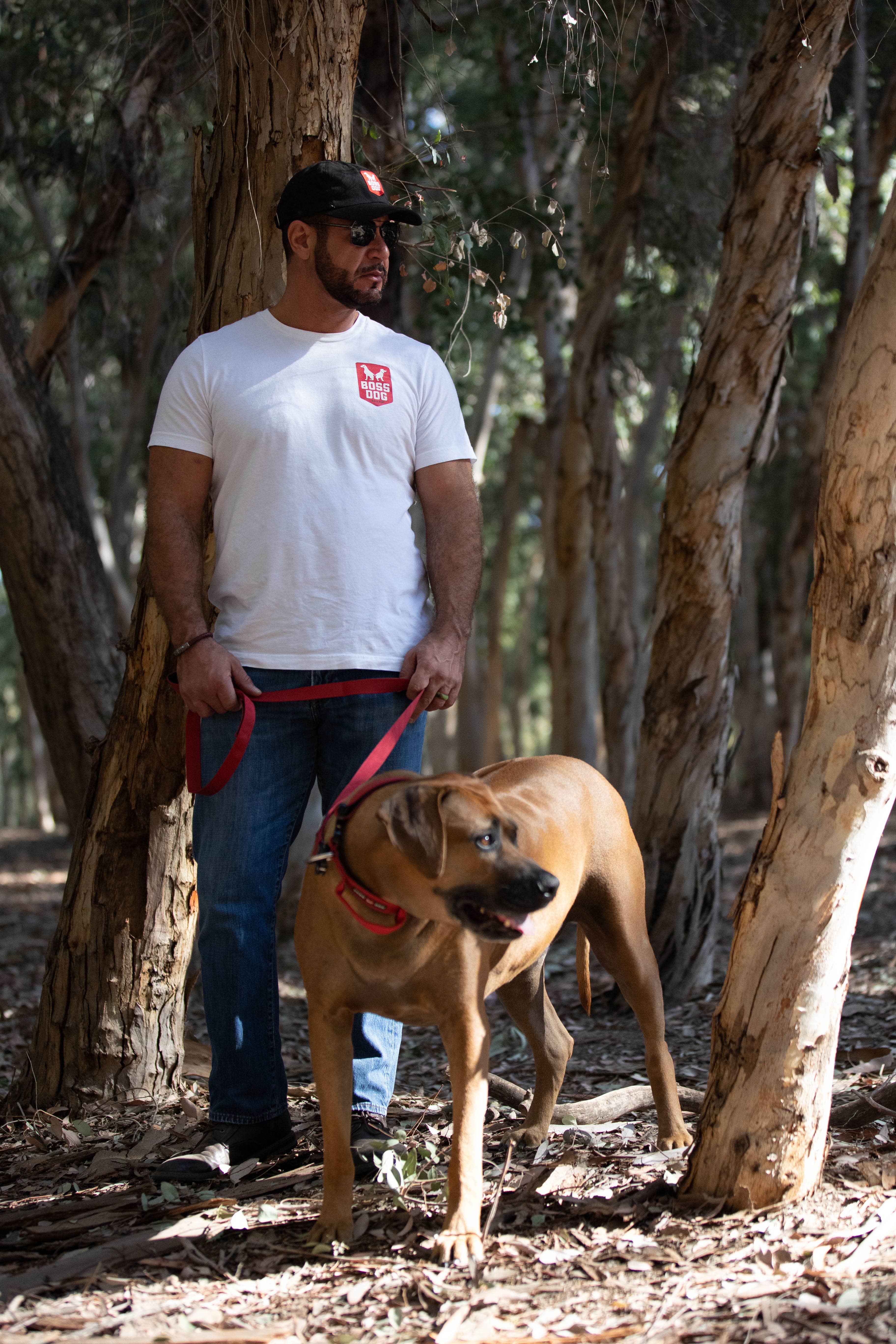 BOSS DOG BRAND, INC. - Wholesale Pet Leash - Dog - Boss Dog 4FT Unbreakable Leash3