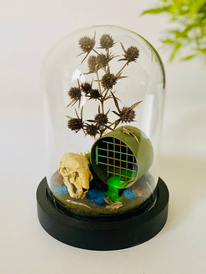 The rat, curiosity under a glass dome for wholesale by Thingx