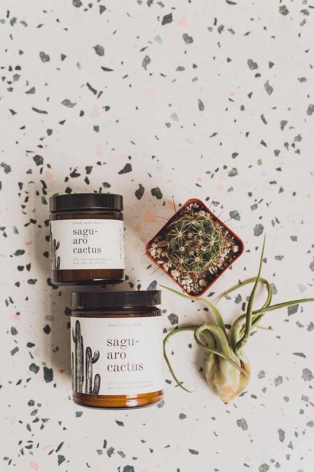 Broken Top Brands - Wholesale Jar/Filled Candle - Saguaro Cactus 9oz Soy Candle5
