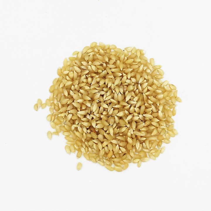 Madison Park Foods - Wholesale Popcorn Kernels - Petite Maize Uncommon Popping Corn4