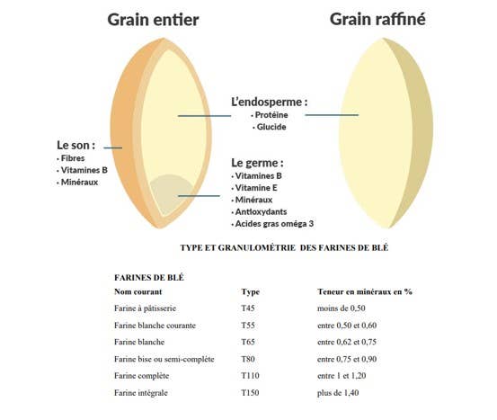 ORI SAS - Wholesale Gluten-Free Flour - Sorghum integral flour (organic and gluten-free) - 500g2