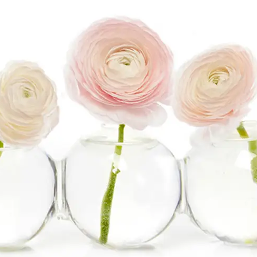 Chive - Wholesale Vase - Caterpillar Clear Glass Bud Vase Long. Small And Large6