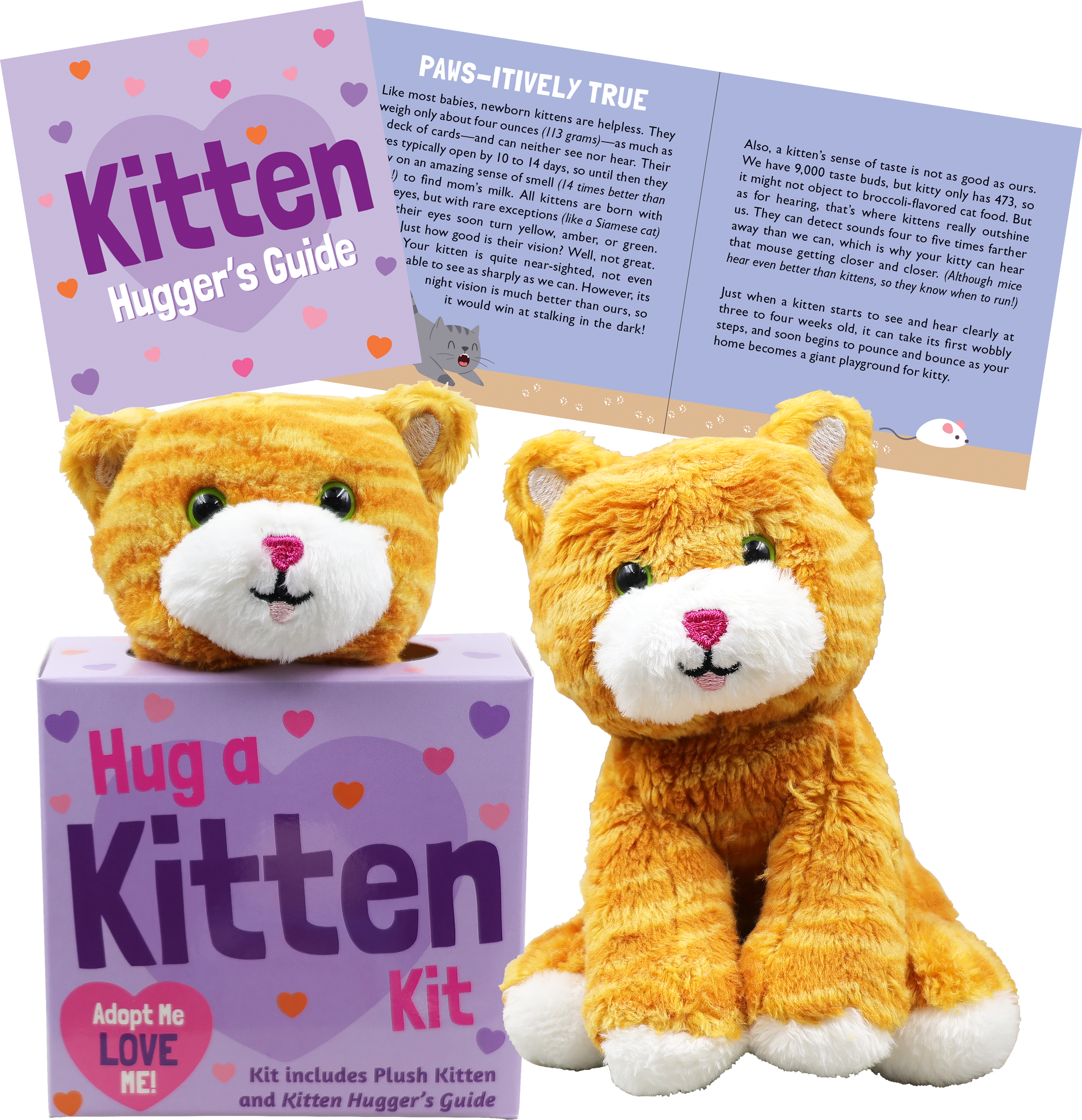 Peter Pauper Press - Vente Peluche – enfant et bébé - Câlinez un Kitten Kit3