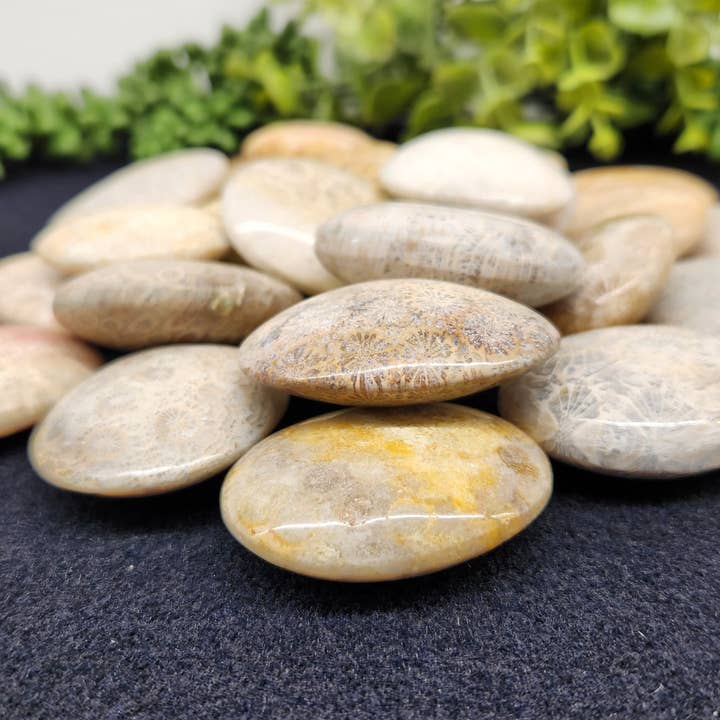 Meraki Gemstones - Wholesale Spiritual Stone/Crystal - Fossil Coral (0.5kg/1.1lbs.) Palm Stones/Pillow Shape2