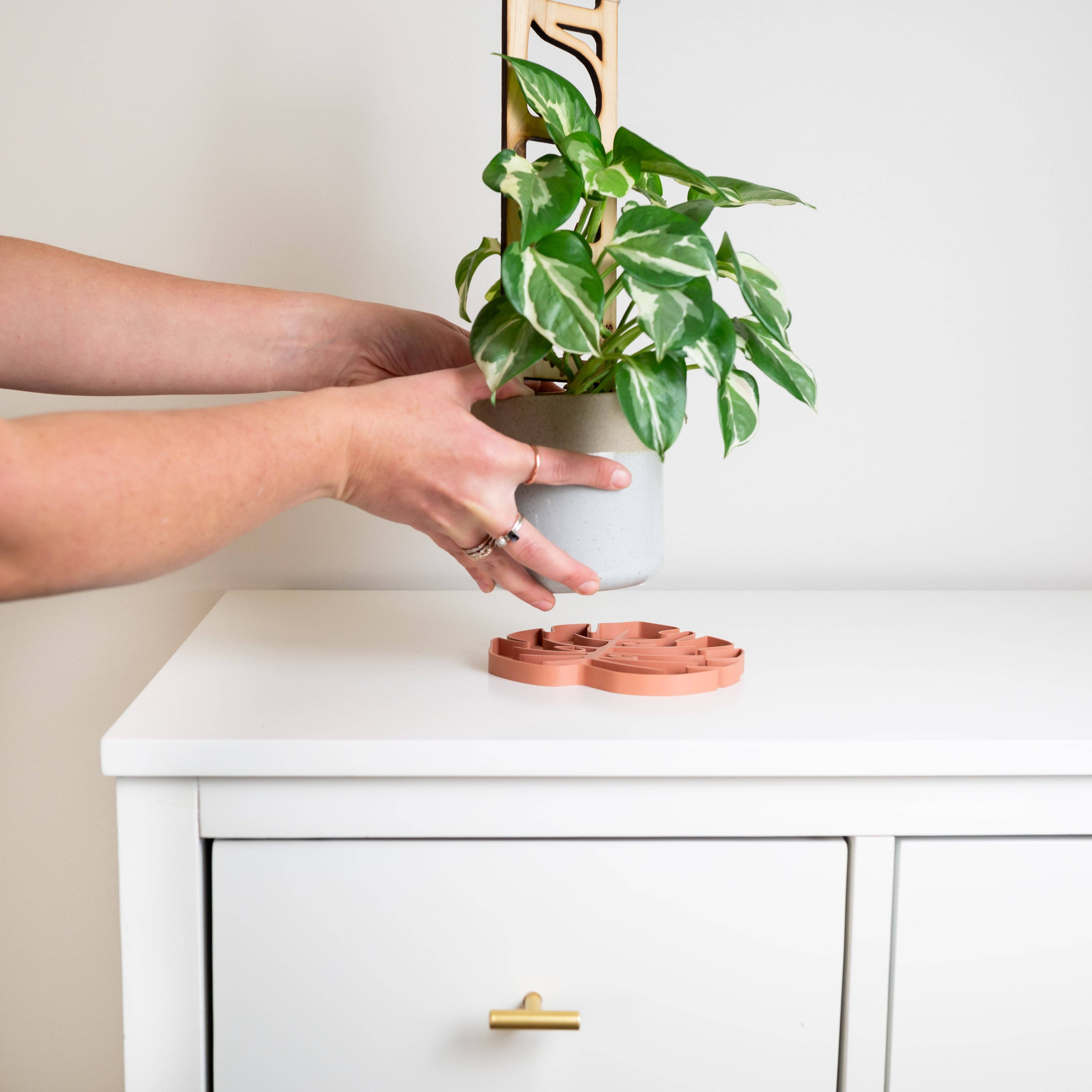 Treleaf - Wholesale Plant pot - Tera Sausr - Monstera Leaf-shaped Pot Saucer - Humidity Tray4