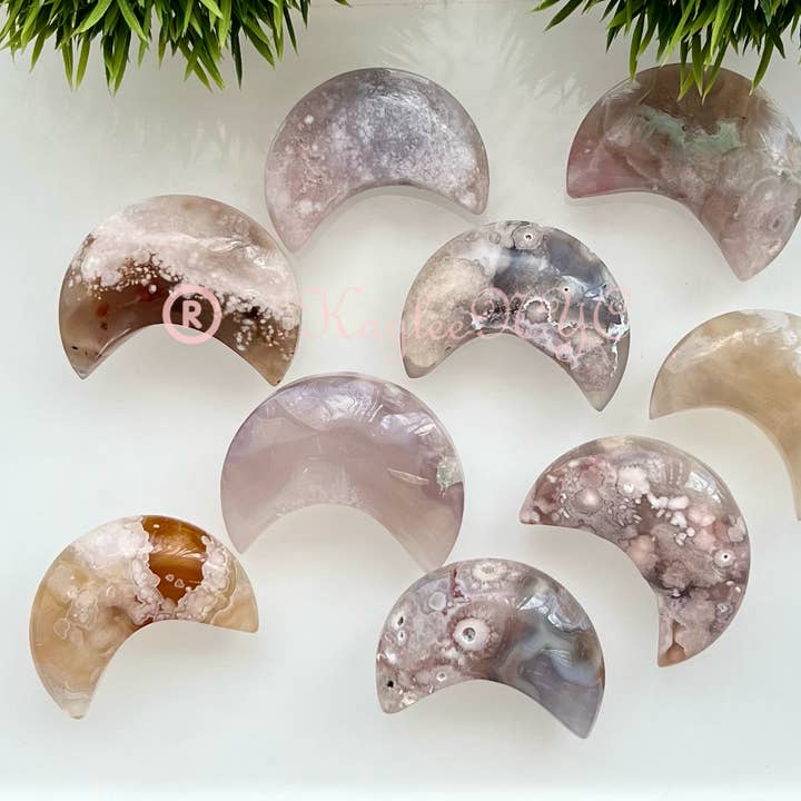 1 lb Natural Flower Agate Crystal Moon Healing Lot for wholesale by KayleeNYC