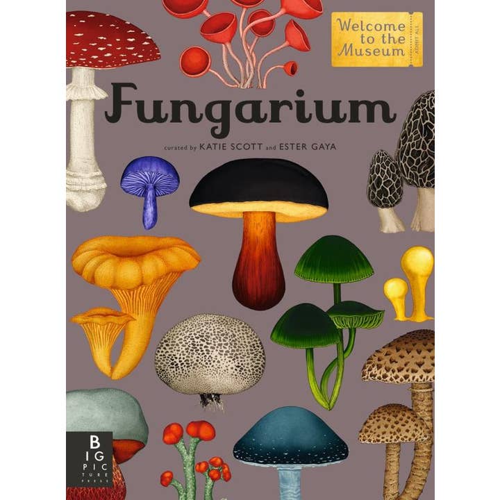 Fungarium: Welcome to the Museum for wholesale by Microcosm Publishing & Distribution