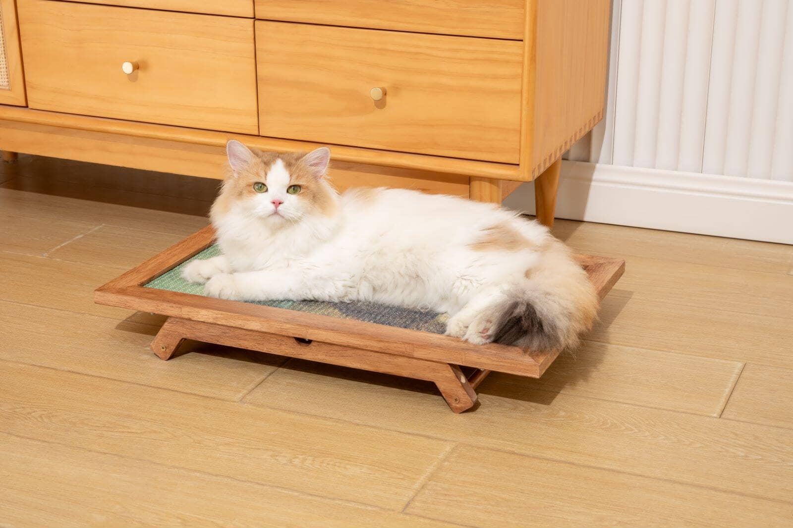 Brown Oak The Ultimate Art Scratcher for wholesale on Faire23