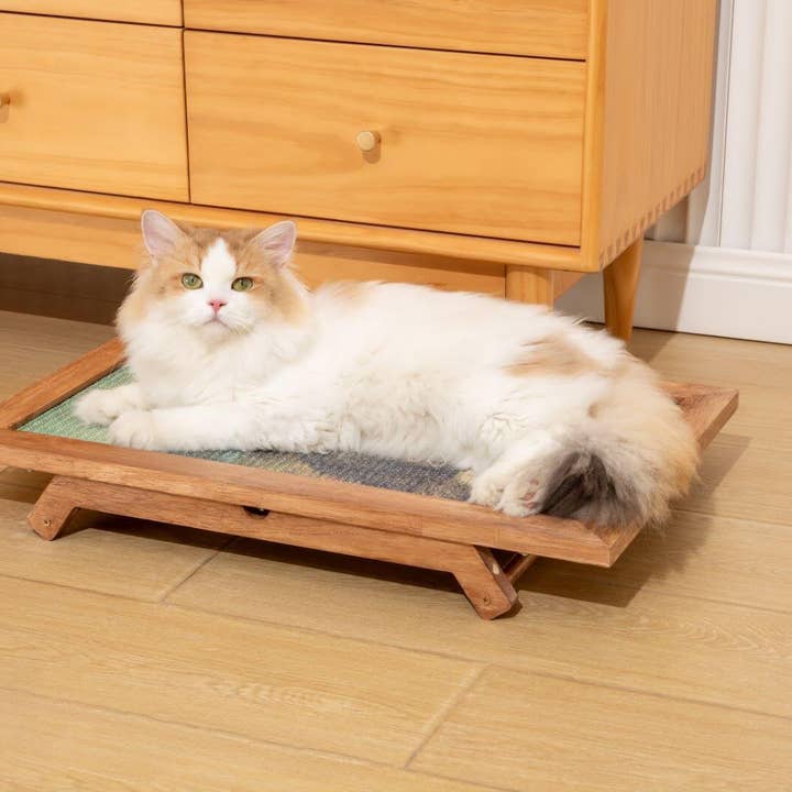 Brown Oak The Ultimate Art Scratcher for wholesale on Faire23