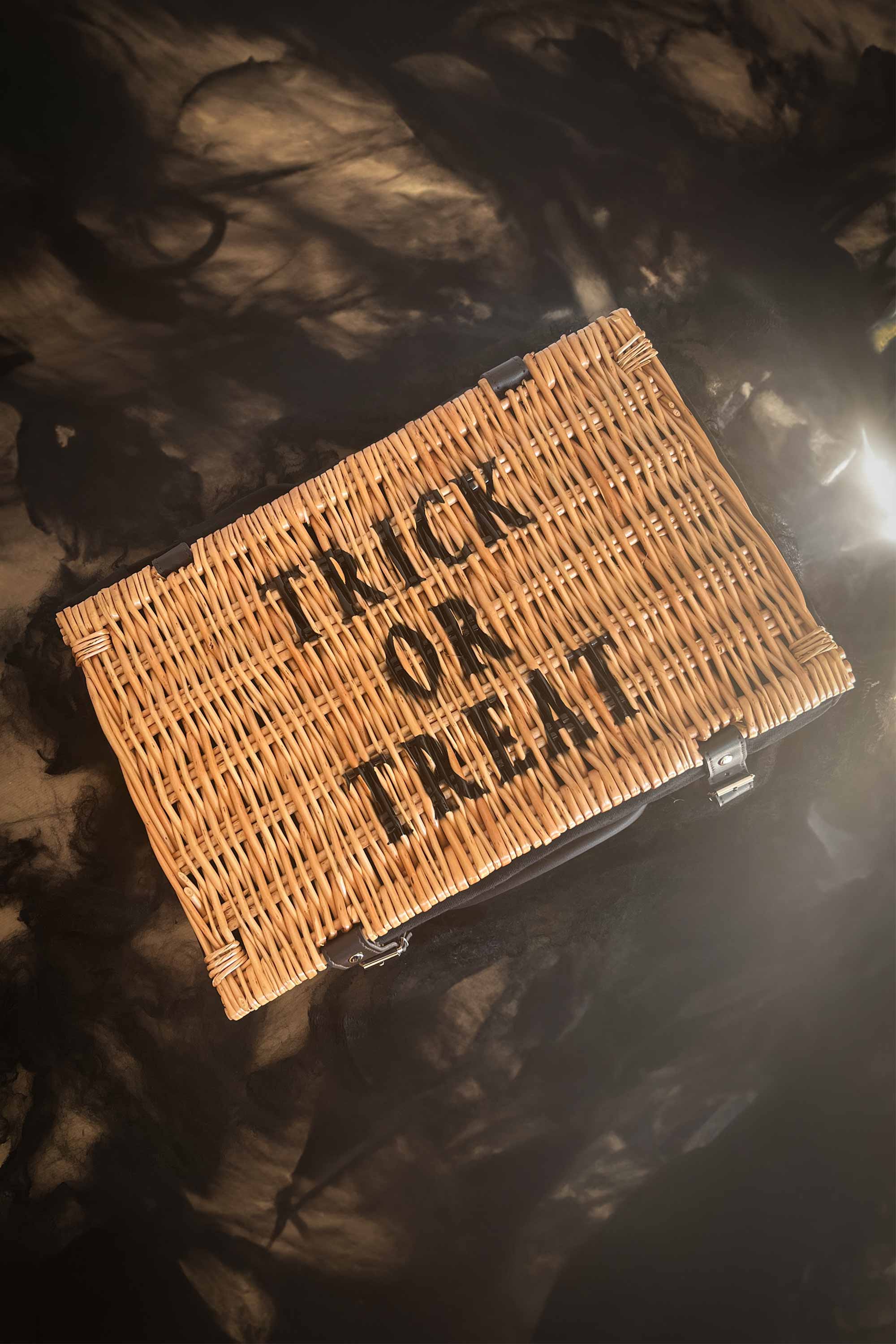 Purlee – wholesale Basket – Trick or Treat Halloween Basket1