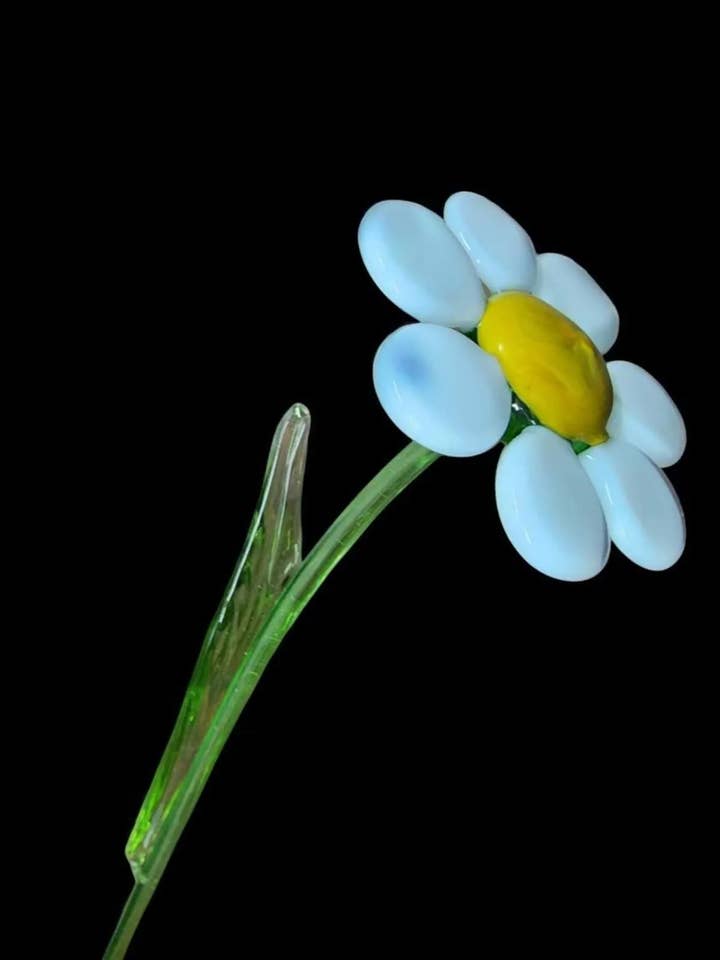 Glass Daisy - Forever Daisy - Murano Quality for wholesale by Glass by Iness