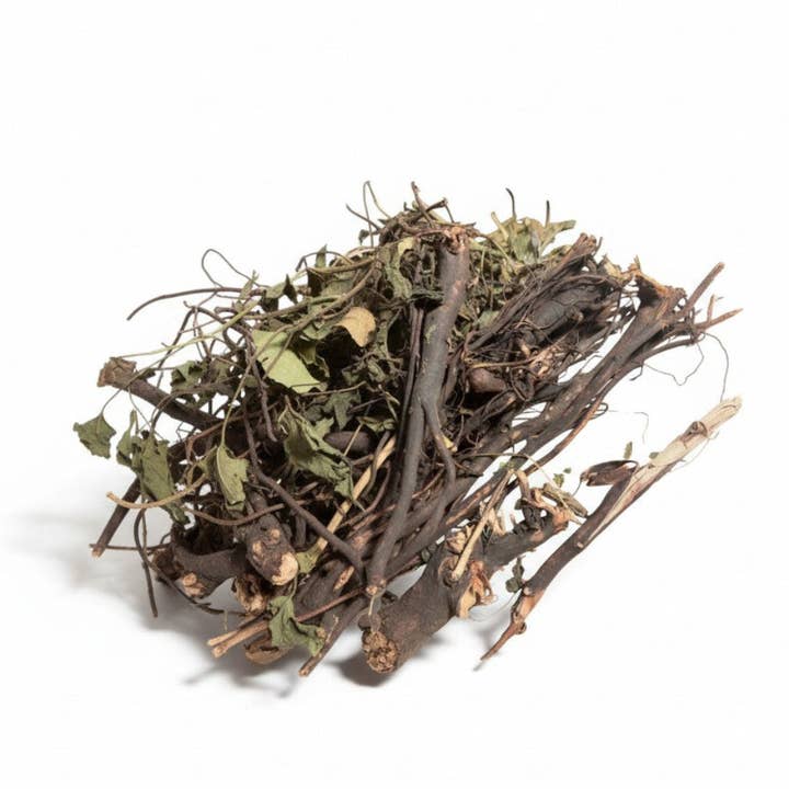 Root of Mbantmare for wholesale by ELITEA