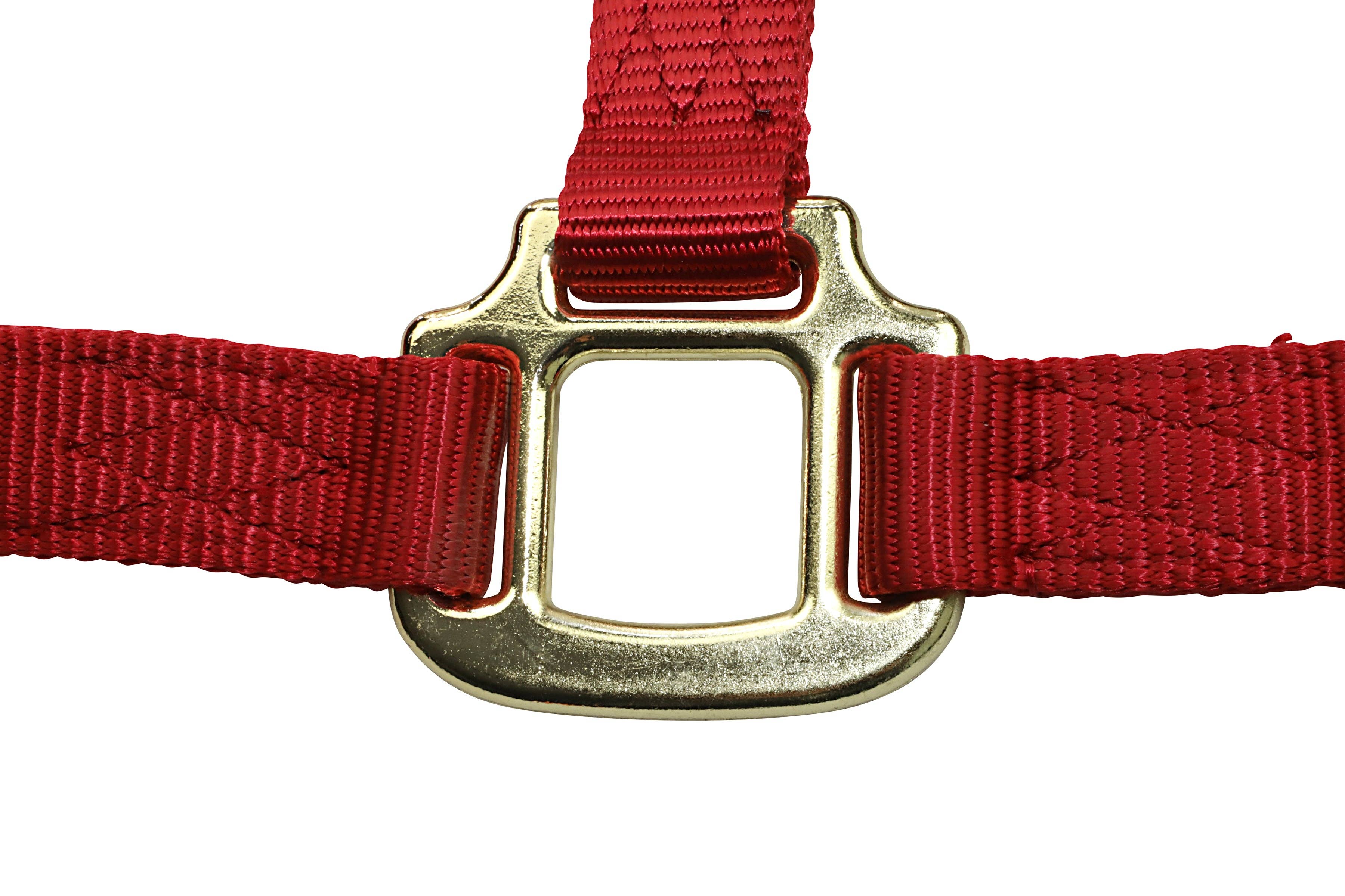 Grewal Equestrian - Wholesale Paardrijuitrusting - Nylon hoofdstellen voor paarden21