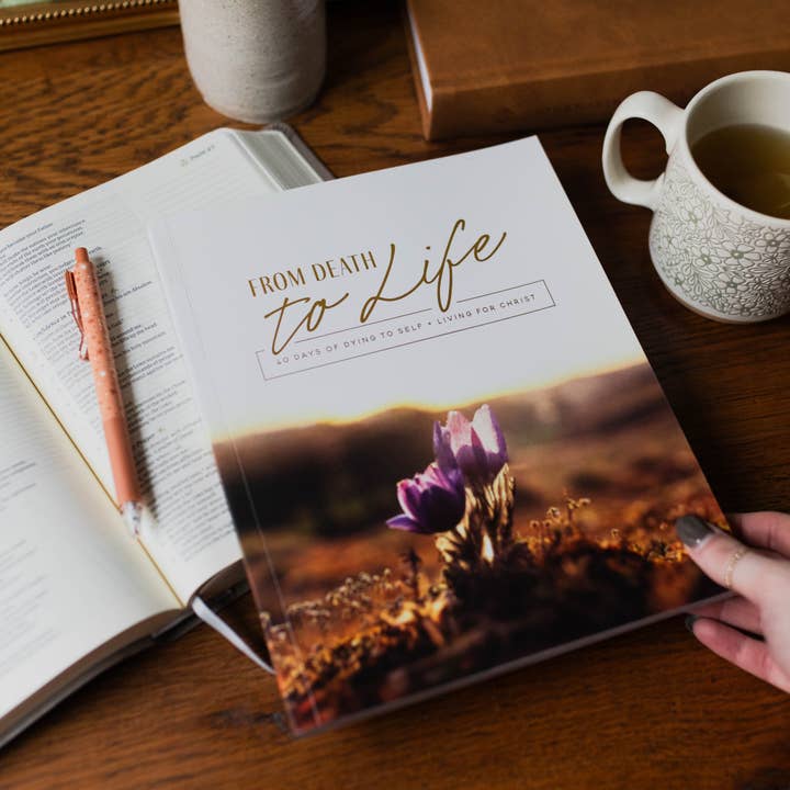 The Daily Grace Co - Wholesale Religion - From Death to Life | 40 Day Study3