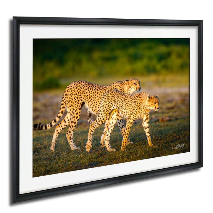 Cheetah Art Print - Maximalist Style - Large for wholesale by Clifton Haley Photography