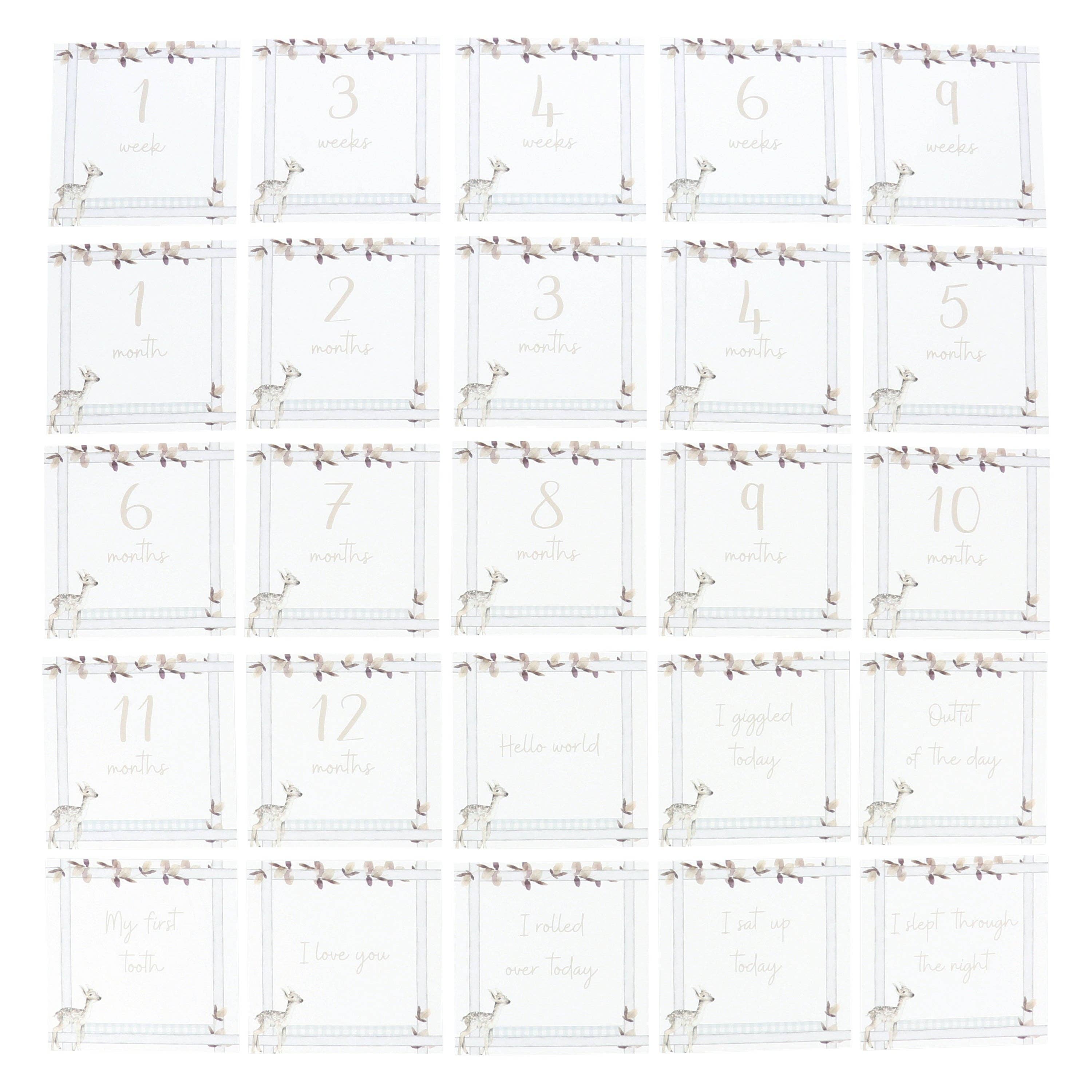 Curious Baby - Wholesale Milestone Art/Keepsake - Kids & Baby - Infant Milestone + Memory Cards (0-12 months)5