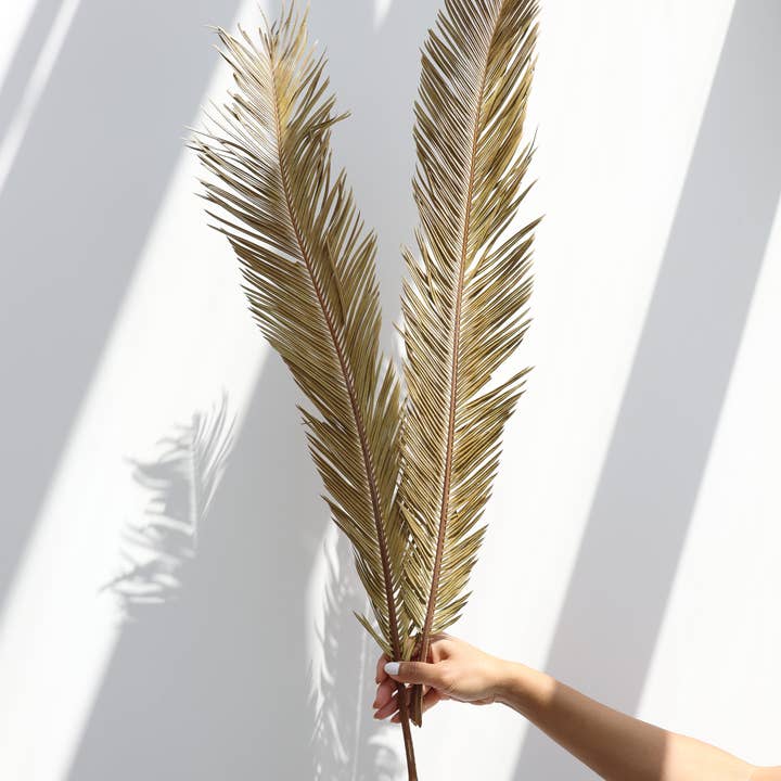 Hojas secas de palma de sagú para venta al por mayor de FlowerFantaSee