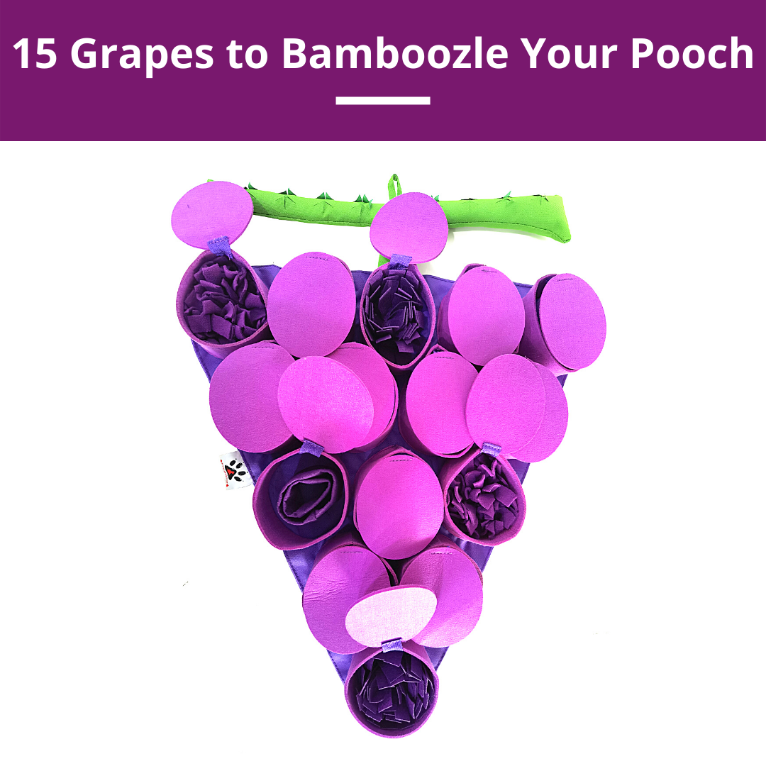PawzNDogz - Wholesale Pet Food Mat - Dog - Forbidden Grapes ™ Snuffle Mat | Challenge Level 45