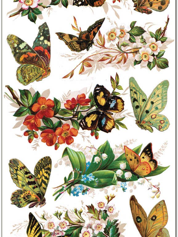 Adesivos transparentes Borboletas Naturais por atacado de Violette Stickers