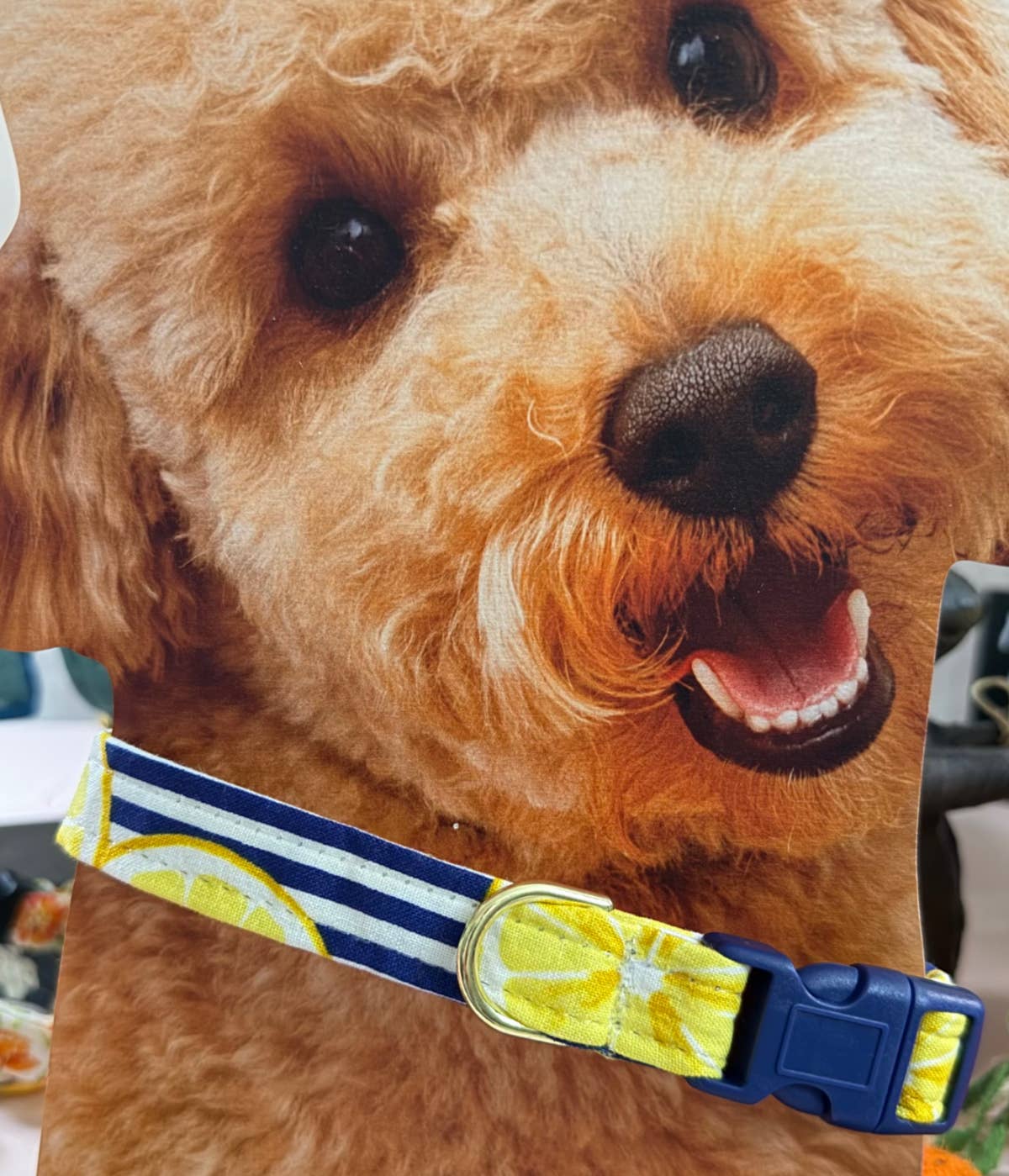 Little Barks Boutique - Wholesale Pet Collar - Dog - Dog Collar - Summer lemon-aide2