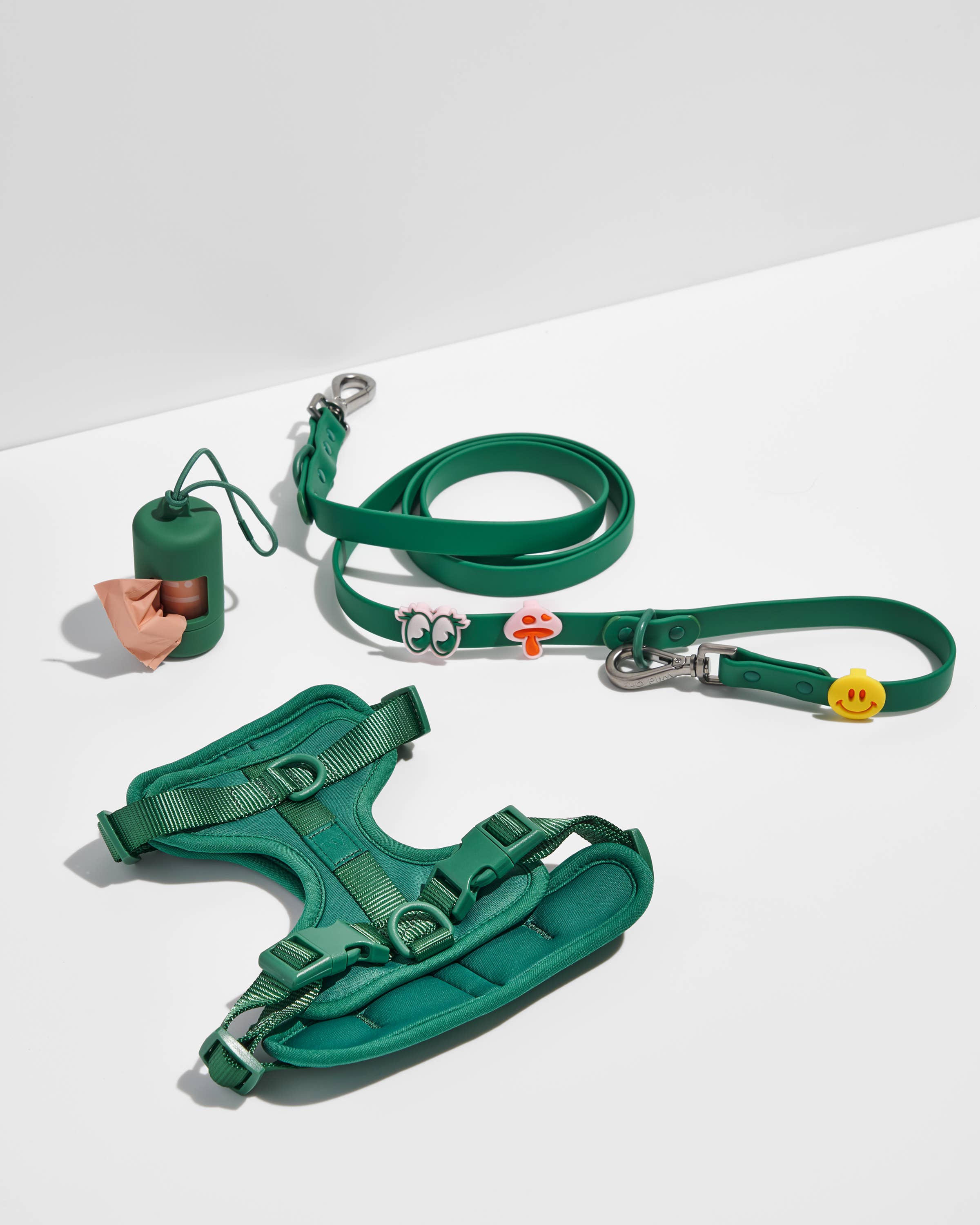 Wild One - Wholesale Pet Collar Charm - Cat/Dog - Flair Collar and Leash Charm Pack Accessories9