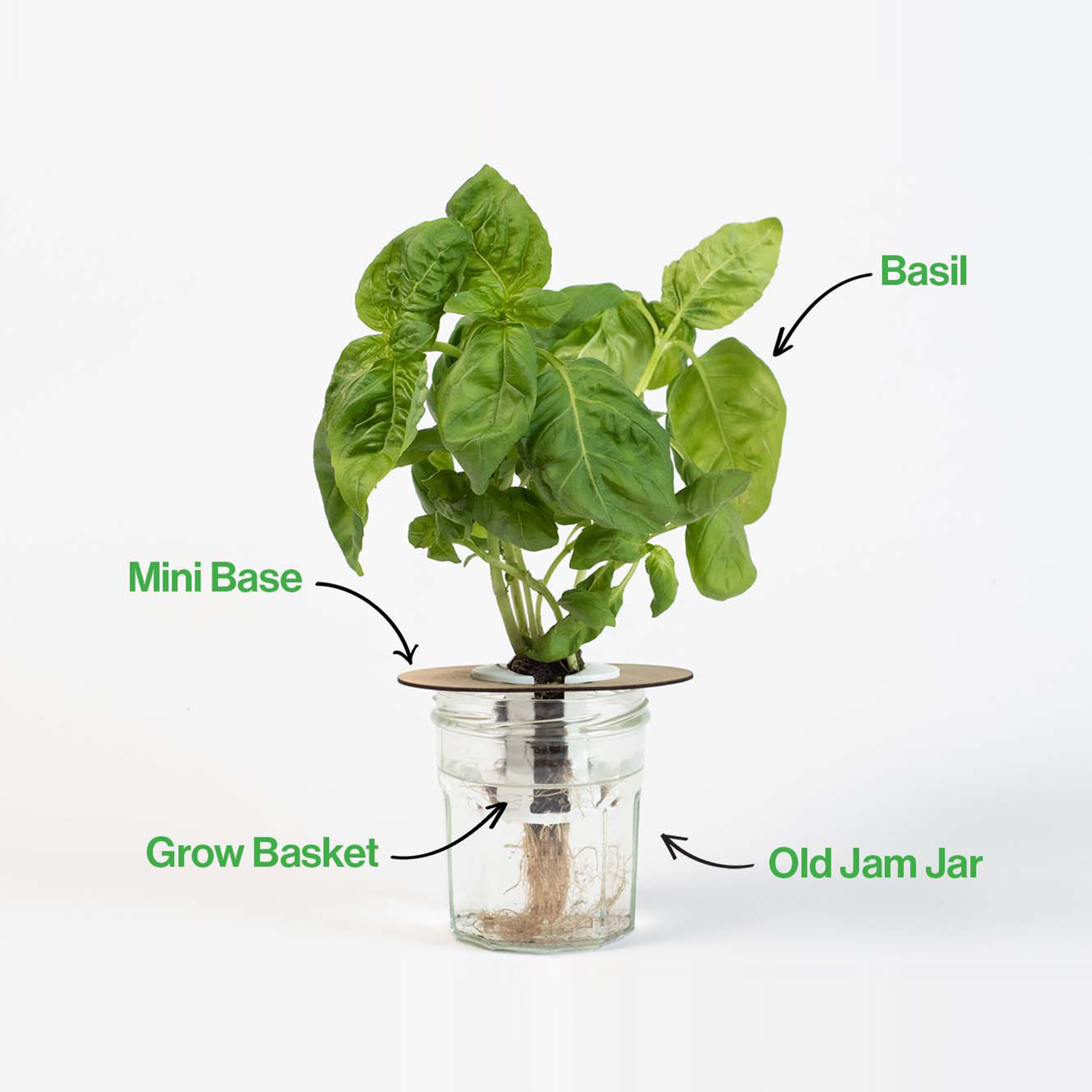 Shroot: Kabloom Seedboms - Wholesale Plant Seeds - Bottle Farm Mini Kit - Indoor Hydroponic Herb Basil Grow Kit2