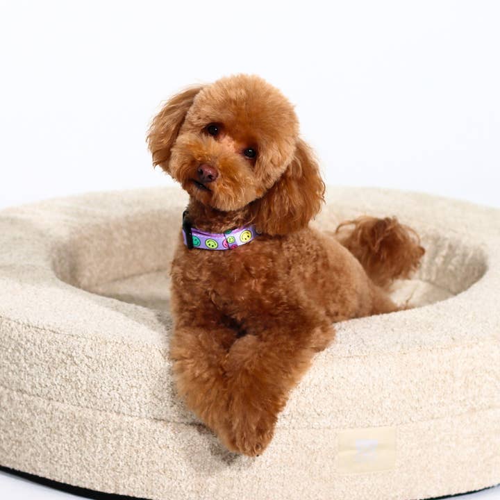 Dukier - Wholesale Pet Bed - Dog - DUKIER DOG BED1