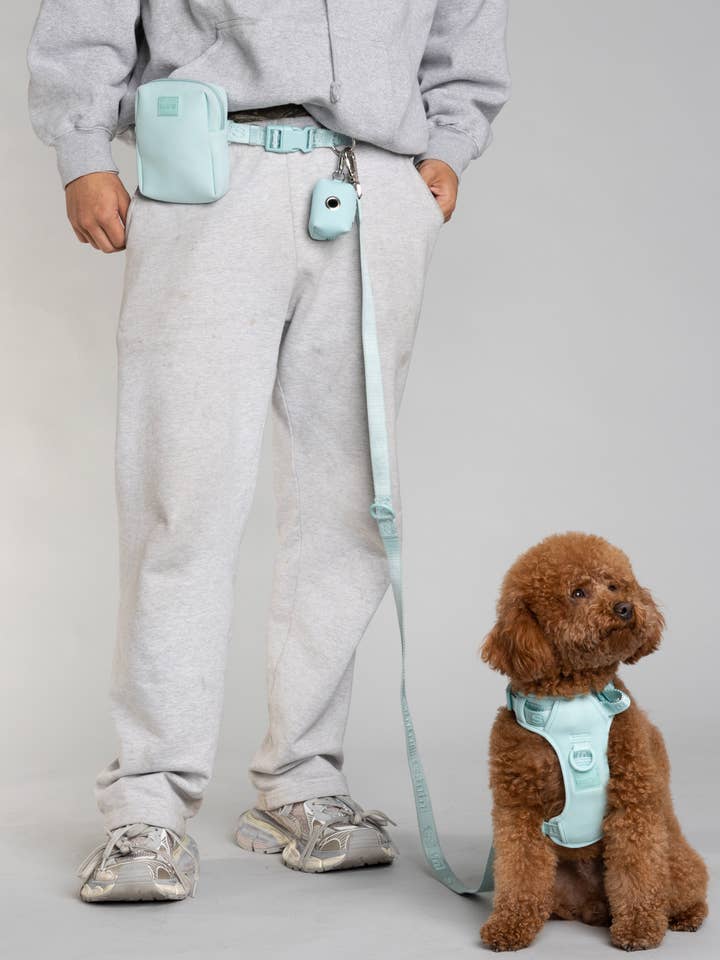 Ensemble laisse mains libres pour chien et ceinture portable - Cali Blue pour la vente par Lulu's from Cali