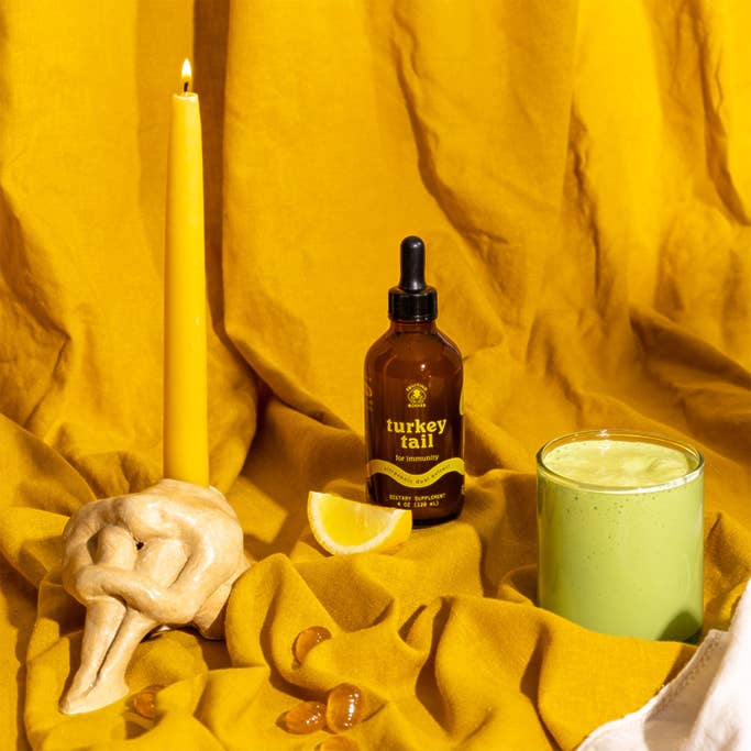 Fruiting Bodies – wholesale Tincture – Turkey Tail Dual Extract Tincture - 4oz3