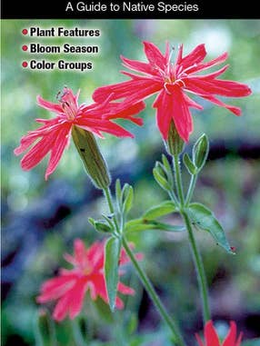 Wildblumen in Zentral- und Nordkalifornien für den Großhandel von Quick Reference Publishing, Inc