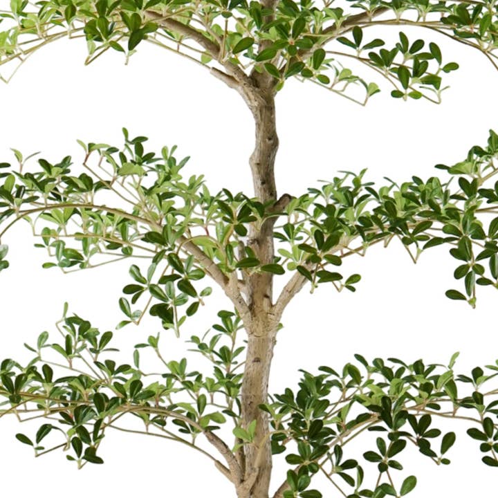 Replica Plants and Decor - Wholesale Artificial Plant - 7' Shady Lady FP14621