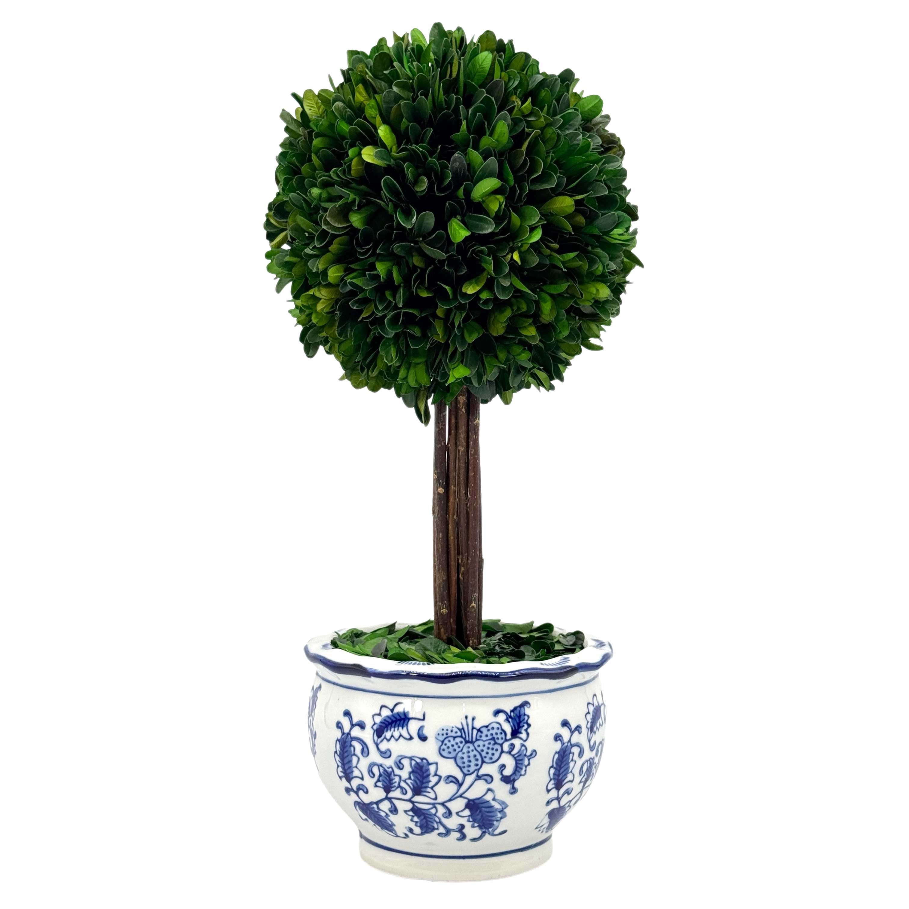 Galt International Company - Vente Plantes artificielles - Arbre topiaire en boule de buis dans un pot rond en céramique bleu et blanc0