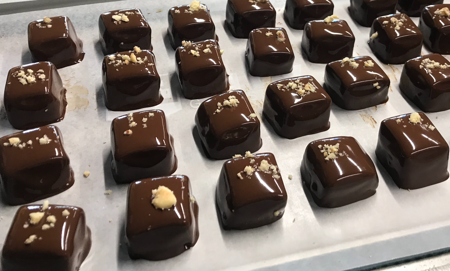 Bees & Beans - Wholesale Chocolate Covered Sweets - Honey Hazelnut Caramels in 70% Dark chocolate1