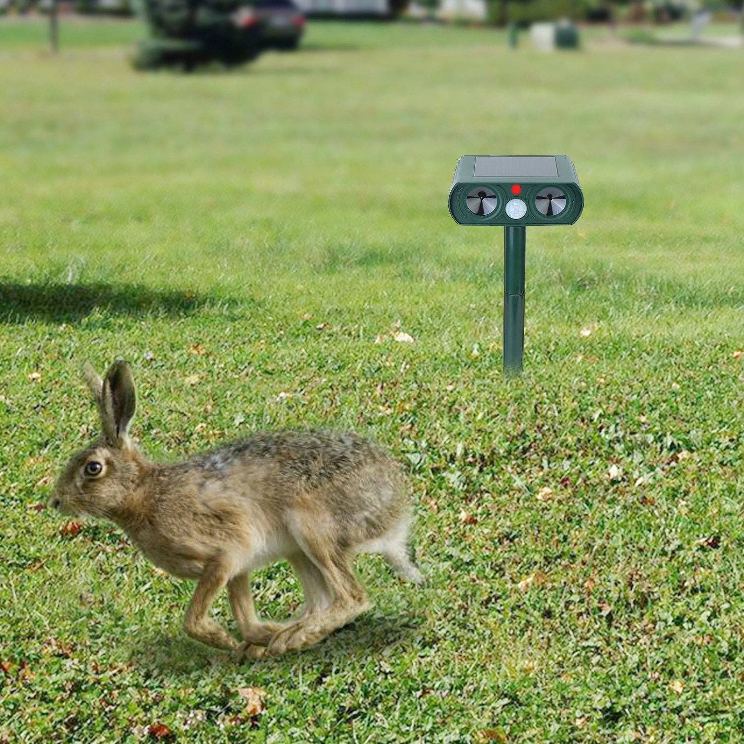 Green Ultrasonic Animal Repeller Solar Powered Motion Sensor Repellent IPX4 Waterproof Outdoor For Farm Garden Yard Repelling Deer Raccoon Cat Dog Rabbit Squirrel Bird for wholesale on Faire8