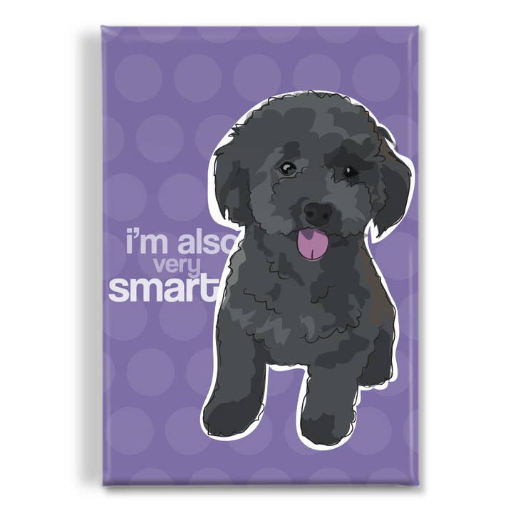 Poodle Dog Magnet - I'm Also Very Smart for wholesale by Pop Doggie