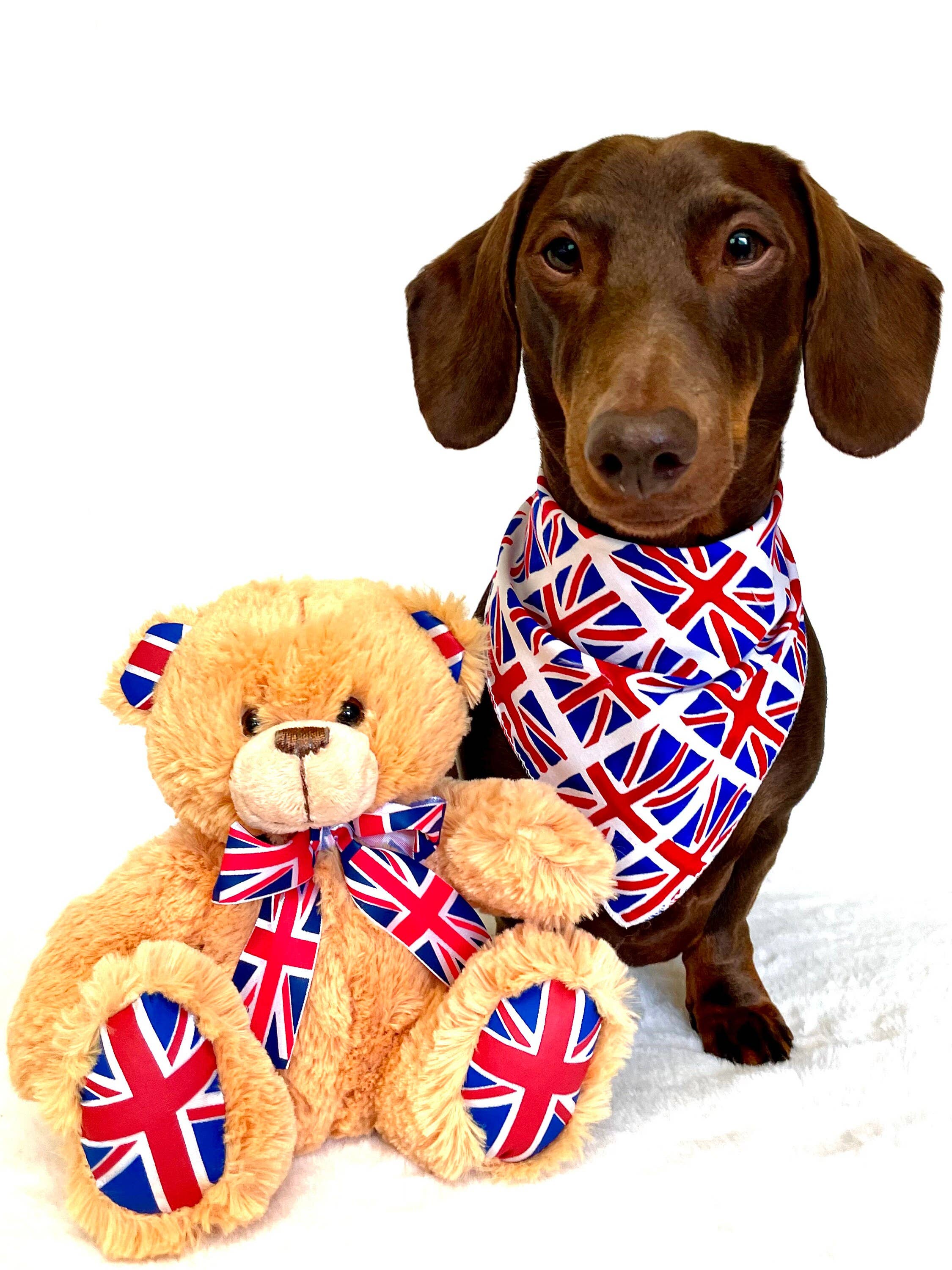 Pet Pooch Boutique - Vente Bandana – chien - Bandana à nouer pour chien/chiot Union Jack - Fait main2